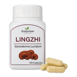 Трутовик лакированный капсулы - Lingzhi Capsules (Herbal One) (Ганодерма)