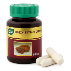 Трутовик лакированный экстракт капсулы - Lingzhi Extract Capsules (KLO) (Ганодерма)