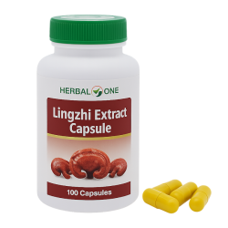 Трутовик лакированный экстракт капсулы - Lingzhi Extract Capsules (Herbal One) (Ганодерма)