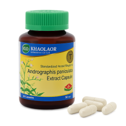 Андрографис экстракт капсулы - Andrographis Extract Capsules (KLO)