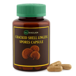 Трутовик лакированный споры капсулы - Lingzhi Spores Capsules (KLO) (Ганодерма)