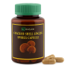 Трутовик лакированный споры капсулы - Lingzhi Spores Capsules (KLO) (Ганодерма)