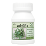 Клинакантуc поникающий растение целиком - Clinacanthus nutans whole plant (LH)