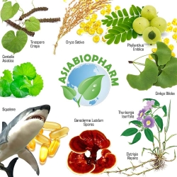 Аутизм комплекс терапии (Порошки)