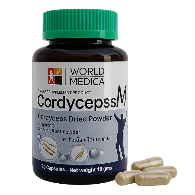Кордицепс микстура M капсулы - Cordyceps M Compound Capsules (KLO)